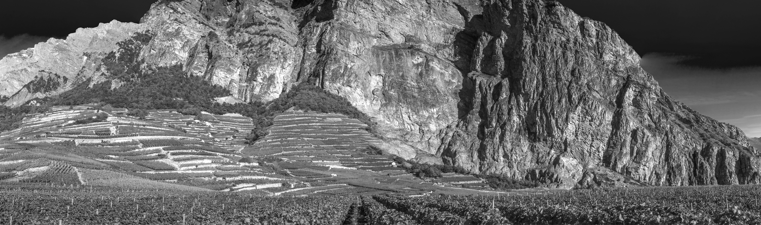 À propos de Maison Rouge