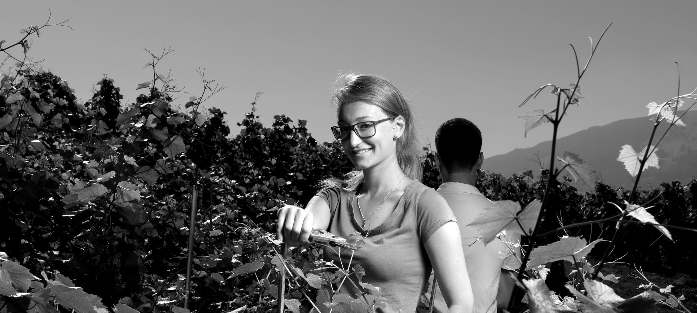 Maison Rouge - Slide 2